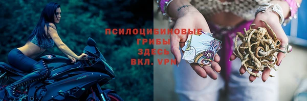 спайс Елизово