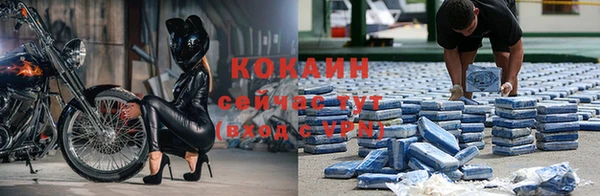mdpv Елабуга