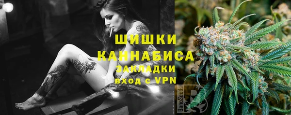 mdpv Елабуга