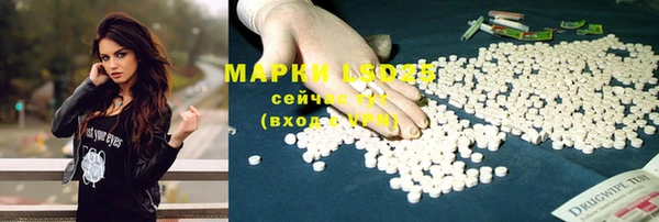 mdpv Елабуга