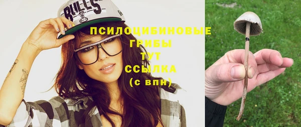 спайс Елизово